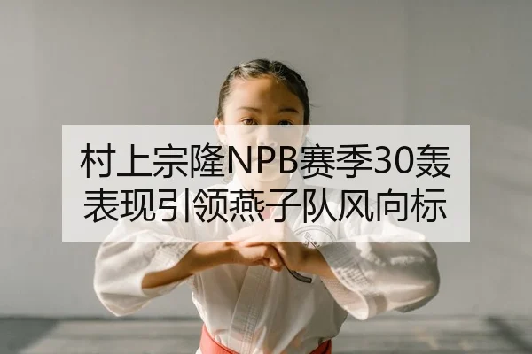 村上宗隆NPB赛季30轰表现引领燕子队风向标